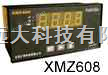 智能数显仪表 型号:BH122-XMZ60X库号：M130440