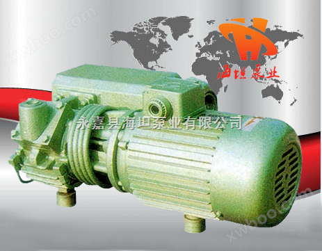 真空泵概述 真空泵制造厂家 永嘉XD型单级旋片式真空泵