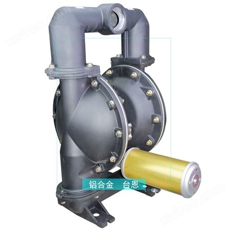 G螺纹DN80气动隔膜泵