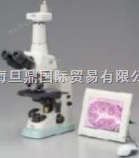 进口尼康双目生物显微镜