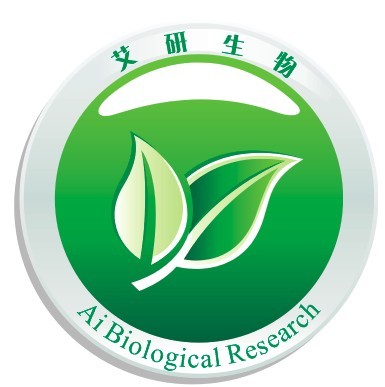上海艾研生物科技有限公司