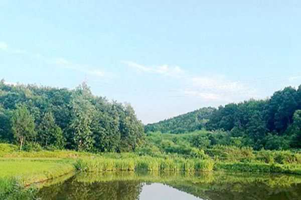 《四川省赤水河流域保护条例实施细则（征求意见稿）》公开征求意见