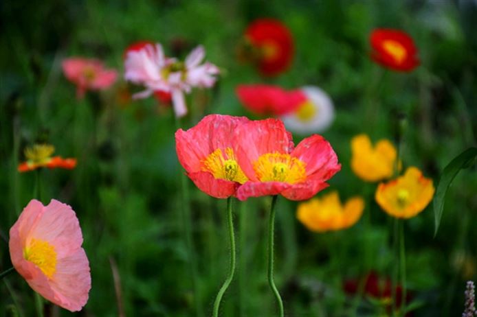 每年节省能源费几十万，工业热泵，一次从车间到产业链的能效革命
