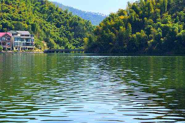 美丽水细胞单元建设｜钱江新城森林公园：从滩涂泥沼到都市绿洲