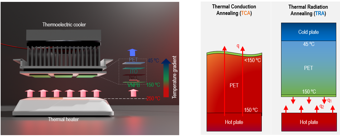 大连化物所克服了柔性钙钛矿太阳能电池的加工温度限制