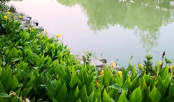 能源高质量发展专家谈丨电力体制改革成效与展望