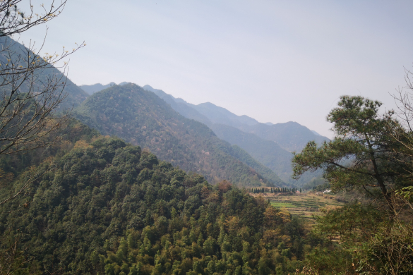 江苏局召开2025年上半年行业运行调度会议