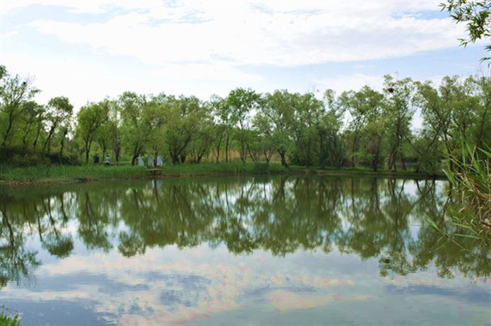 市场巡礼 | 对话义乌中国小商品城，揭秘外贸韧性密码